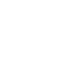 Wild River Fly Fishing